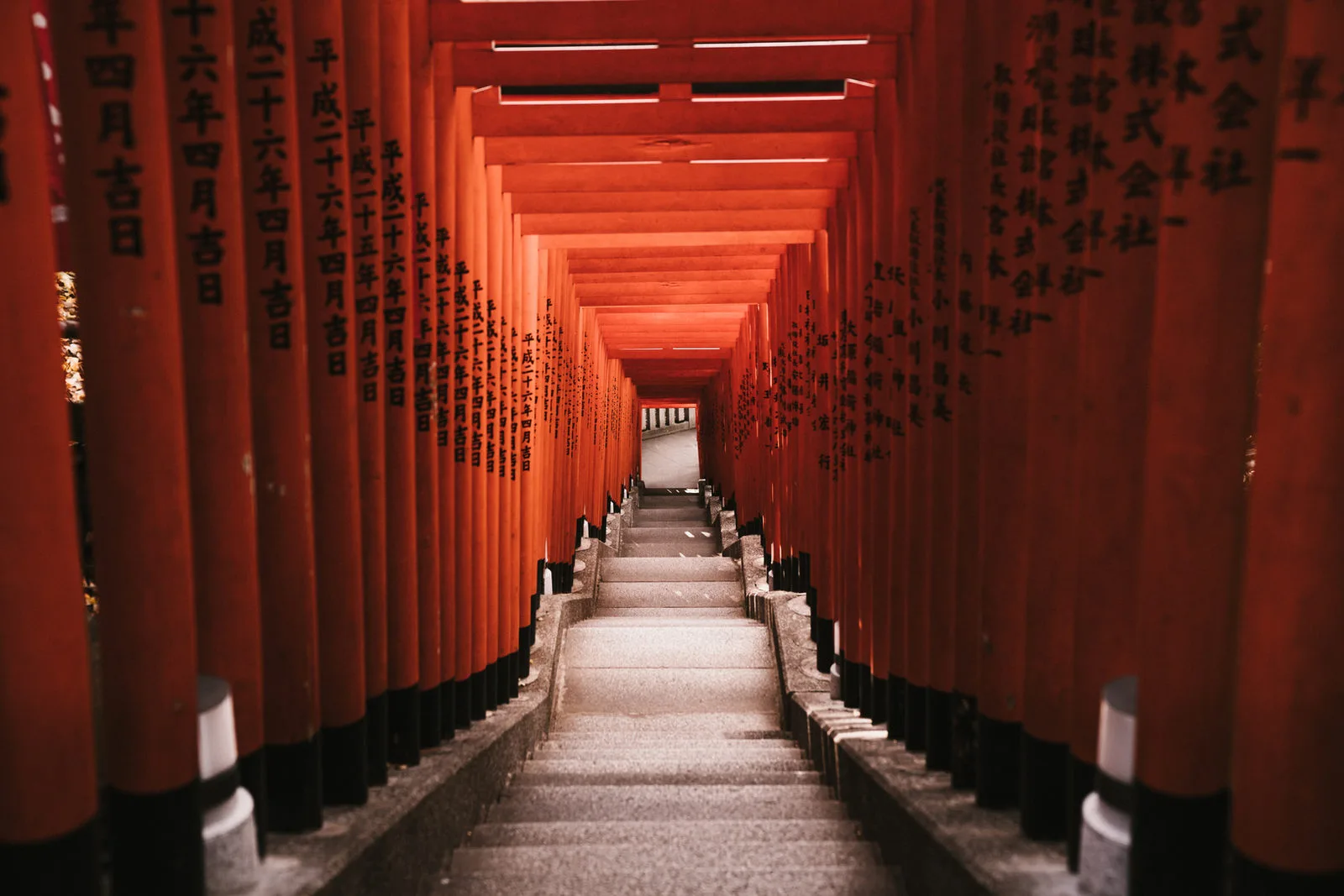 Tokyo, Japan travel package